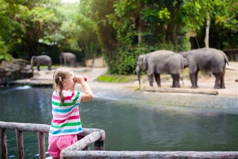 28 Best Zoos In The Us For Every Kind Of Wildlife Sighting