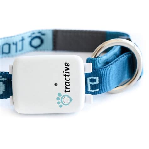 If the gps cat collar is perhaps a little to chunky, this is a great way to monitor overall health. Tractive GPS Dog Tracker Lets You Track Your Dog Via Your ...