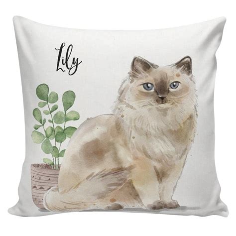 Ts For Ragdoll Cat Lovers Art Decor Customizable And More
