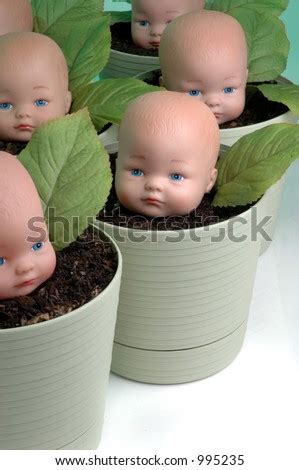 Multiple Plastic Babies Being Grown In Soil Filled Pots Stock Photo