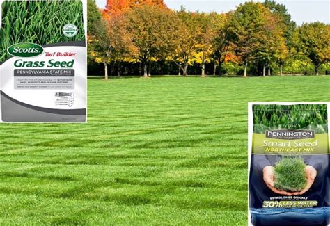 Best Grass Seed For Pa Pennsylvania Reviews In