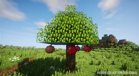Apple Trees Mod 116311521122 Big Apples Minecraft Mods