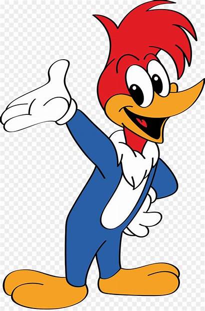 Woody Woodpecker Cartoon Willy Chilly Racing Character