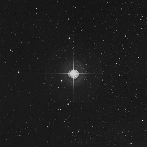 56 Orionis Star In Orion