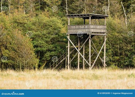 Birdwatching Tower Bird Watching Observation Tower In The Forest