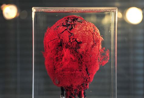 First 3d Printed Blood Vessels Bring Scientists A Step Closer To