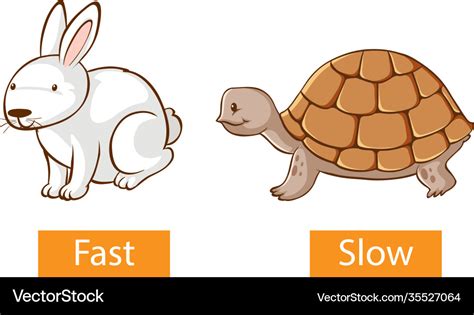 Opposite Adjectives Words With Fast And Slow Vector Image