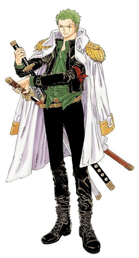 Roronoa Zoro Pirate Hunter One Piece Zoro One Piece Manga Anime One