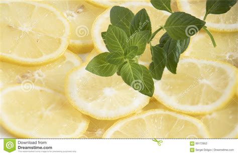 Fresh Lemon Slices And Mint Leaves Close Up Stock Photo Image Of