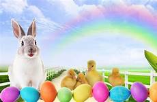 easter scenes bunnies egg eggs hunt bunny wallpaper do wallpapers backgrounds kidspace descripti traditionally why know used time wallpaperaccess top
