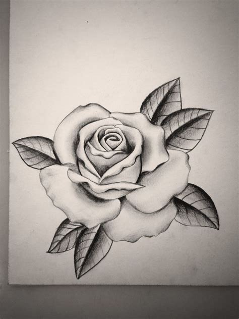 pin by mike attack on tattoos by attack rose drawing tattoo roses drawing flower drawing