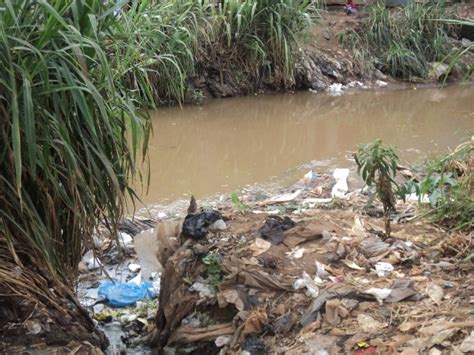 mathare slum river pollution puts lives at risk · rising voices