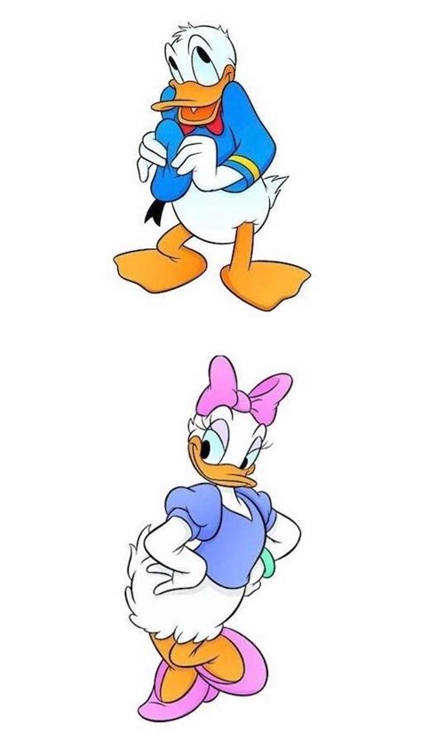 Donald & Daisy | Donald and daisy duck, Donald and daisy, Mickey and friends