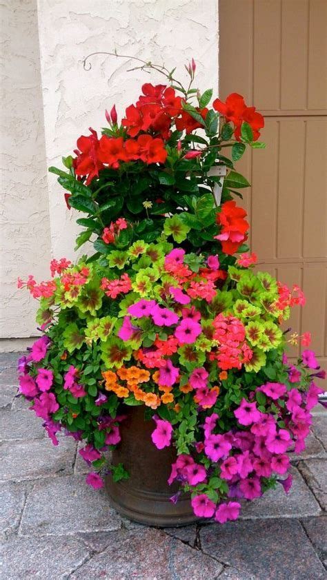 24 Stunning Container Garden Planting Designs Page 3 Of 3 A Piece