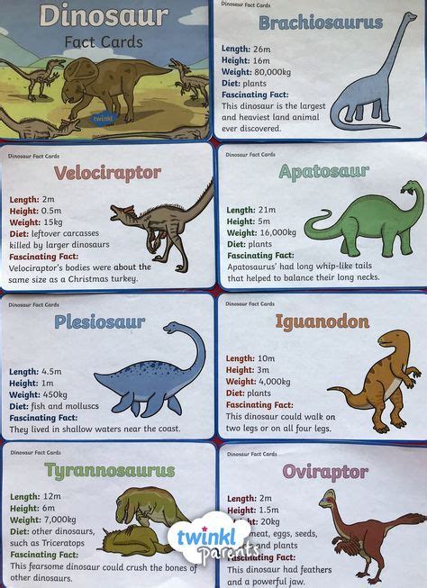A Lovely Set Of Fact Cards That Add Detail To A Dinosaurs Topic They
