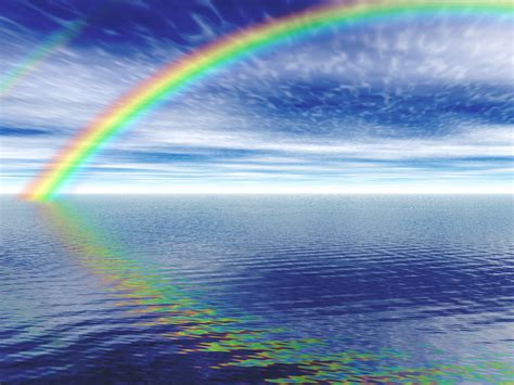 Besides roses, other cut flowers such as chrysanthemums, carnations, hydrangeas and orchids can also be rainbow coloured in the same way. A RAINBOW OF SURPRISES!