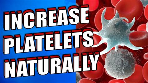 How To Increase Platelet Count In Blood Naturally Beneficial Foods