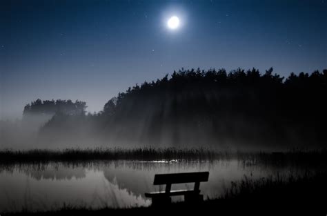 Wallpaper Trees Landscape Forest Night Lake Water Nature