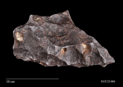 Dmns Meteorite Collection Colorado Geological Survey