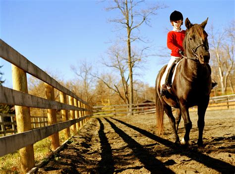 Common Questions Answered About Riding Horses