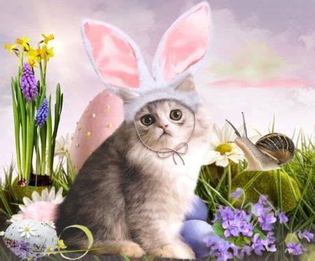 Easter Cat Desktop Nexus Wallpapers Easter Cats Easter Images Cute Cats And Kittens