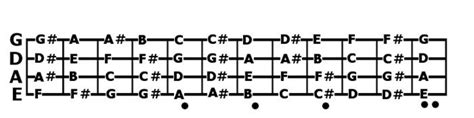 Bass Guitar Strings Notes And Chords