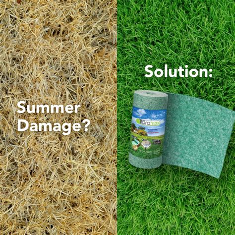 Grotrax Biodegradable Grass Seed Mat 55 Sqft Year Round Grass Seed