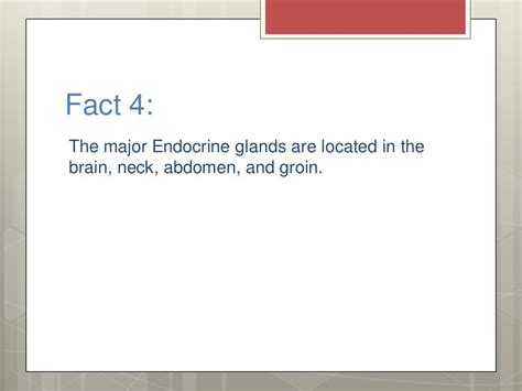 Top 25 Endocrine System Fun Facts Biology Explorer Zohal