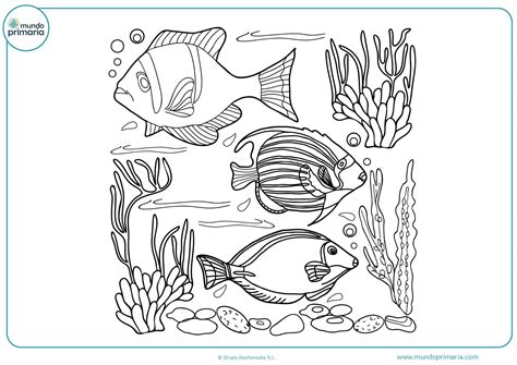 Dibujos De Peces Para Colorear Imprimir Gratis