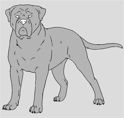 Dog Template Mastiff By Narufreak123 Bases On Deviantart