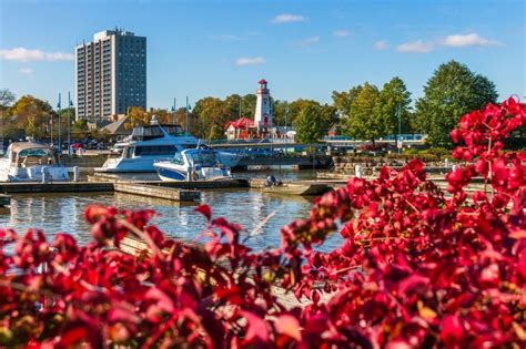 10 Of The Best Things To Do In Mississauga Must Do Canada