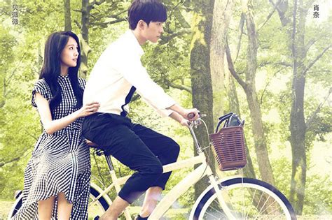 Cùng ngắm mưa sao băng, họa bích, cổ kiếm kỳ đàm, yêu em từ cái nhìn đầu tiên. 10 bộ phim ngôn tình trung quốc chuyển thể hay - Blog xu ...