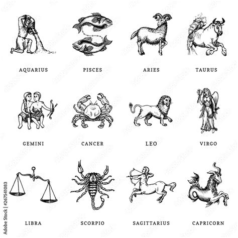 Zodiac Symbols Set Hand Drawn In Engraving Style Vector Graphic Retro
