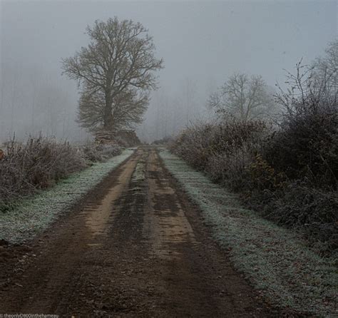 Foggy Winter Morning Theonlyd800inthehameau