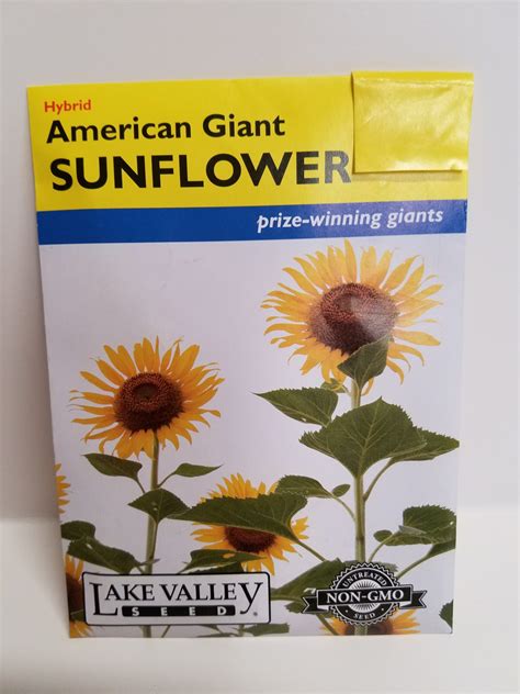 Seed Sunflower American Giant Hybrid Farmers Daughter T And Garden