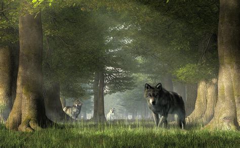 Wolves In The Forest Digital Art By Daniel Eskridge Fine Art America
