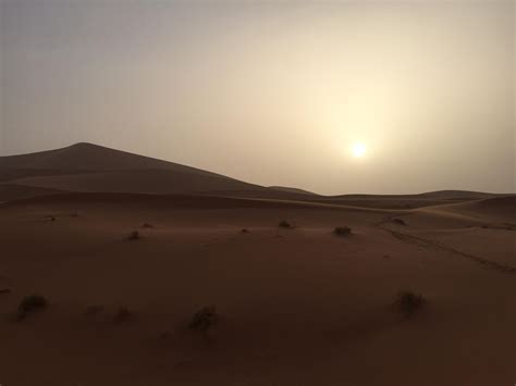 Sunrise In The Sahara Desert A Peace Like No Other Rtravel