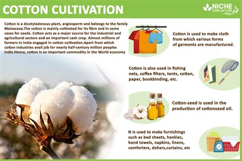 Cotton Cultivation Soil Texture And Its Types