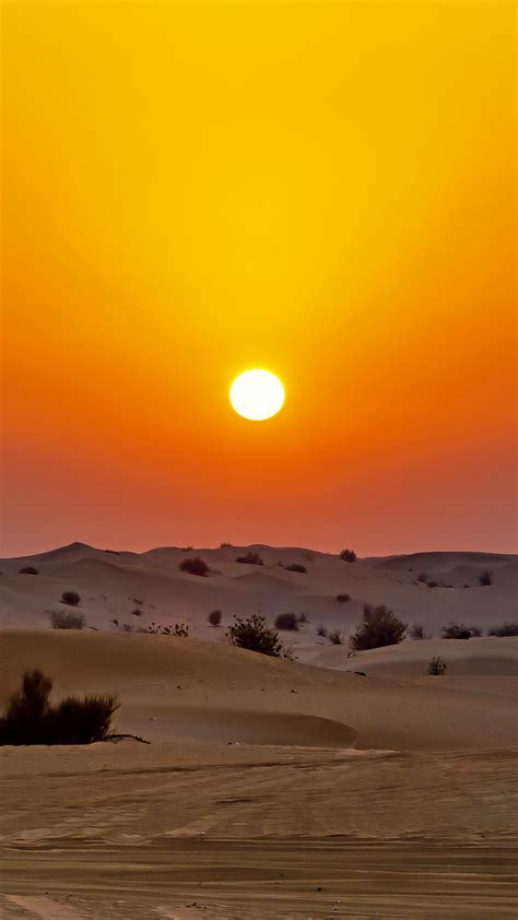 Hd Wallpaper Sunset Desert Dunes Sand Download Wallpapers 2022