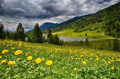 Bavaria Germany Bayern Germany Meadow Flowers Lake Forest Valley