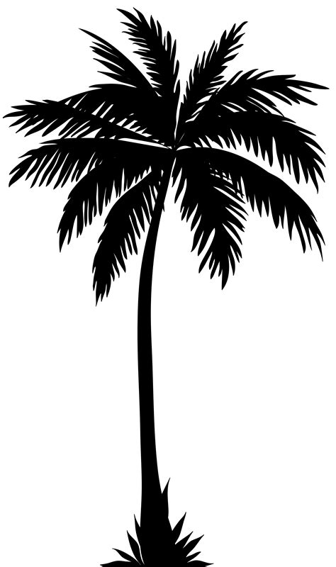 Single Palm Tree Silhouette Clip Art