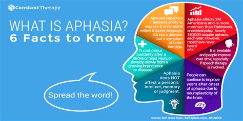 Aphasia Symptoms Madie Connolly