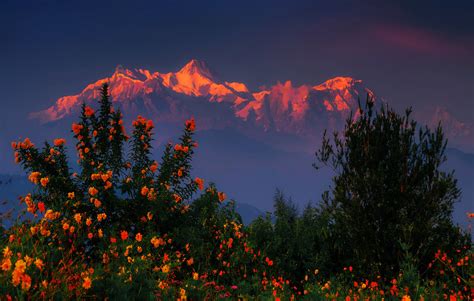 Himalayan Sunset Explore The Himalayan Range Annapurna Flickr