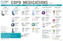 Asthma & copd medications chart national asthma council australia. Copd Medications Chart Pdf - Perokok p