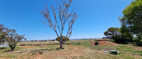 Your Own Private Oasis on 10 Acres of Land - Lavis Real Estate