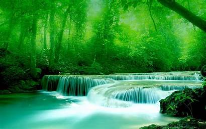 Water River Greenery Wallpapers 3d Widescreen Trees