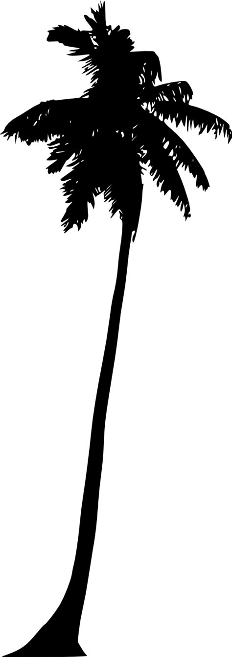 All png & cliparts images on nicepng are best quality. 20 Palm Tree Silhouette (PNG Transparent) Vol. 2 | OnlyGFX.com