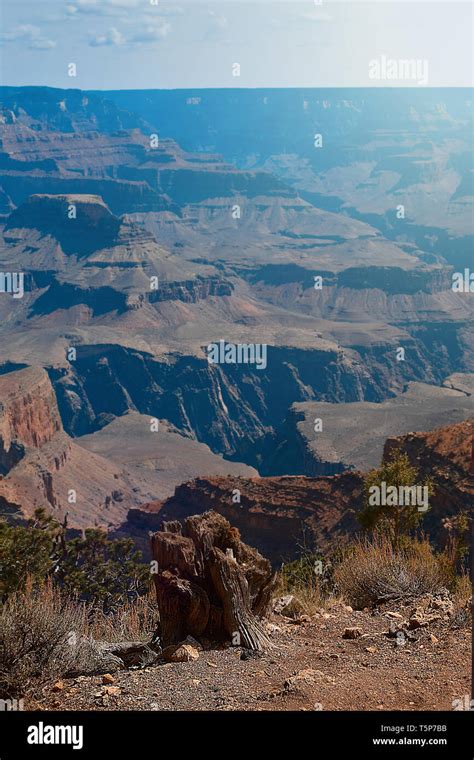Colorado River Grand Canyon Purple Hi Res Stock Photography And Images