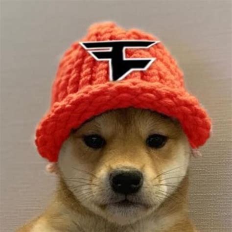 Faze Clan Dogwifhat Dogwifhat Cute Dogs And Puppies Cute Puppy