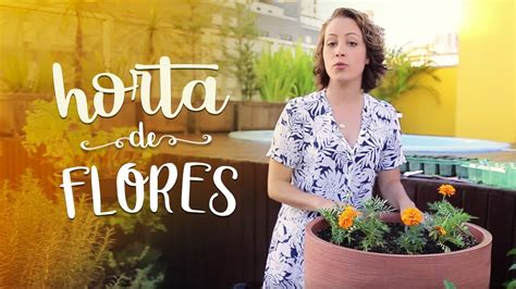 Minha Horta Desafio 2 Flores Comestíveis Na Sua Horta Fácil Youtube